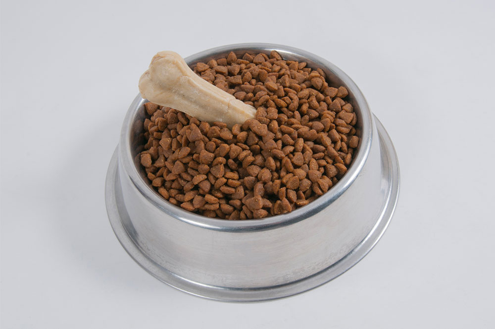 Dog Food Brands for Optimal Nutrition and Health